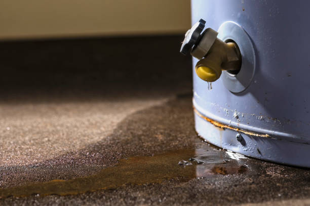 Best Professional water damage repair  in Glandorf, OH