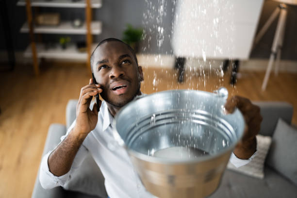 Best Local water damage restoration  in Glandorf, OH