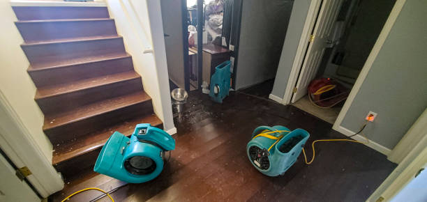 Best Sewage cleanup and water damage restoration  in Glandorf, OH