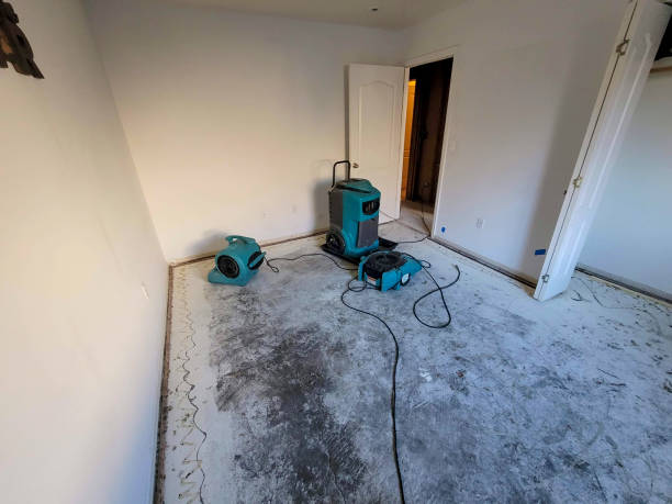 Best Water damage cleanup near me  in Glandorf, OH