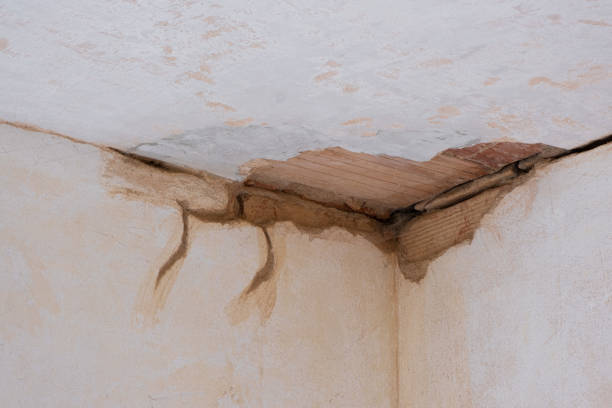 Best Water damage contractors near me  in Glandorf, OH