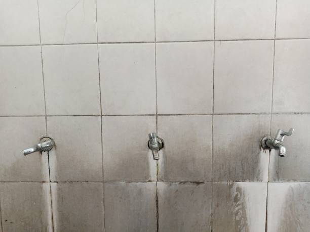 Best Flood damage cleanup  in Glandorf, OH