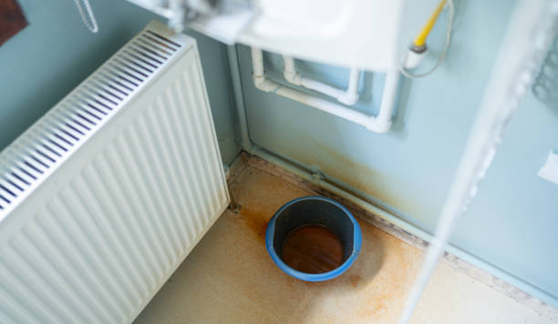 Best Water damage restoration near me  in Glandorf, OH