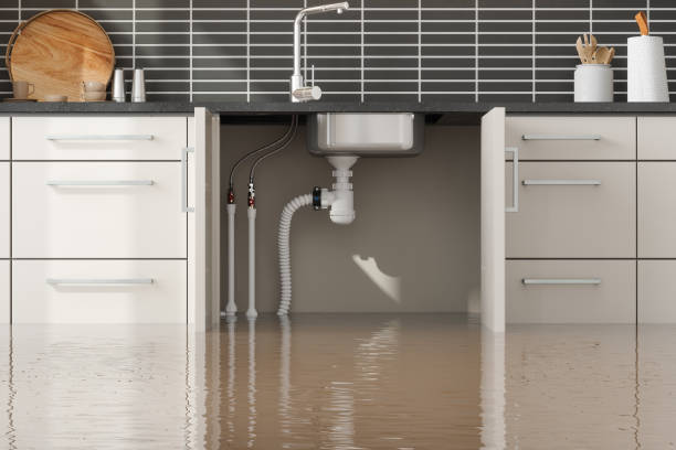 Carpet water damage restoration in Glandorf, OH