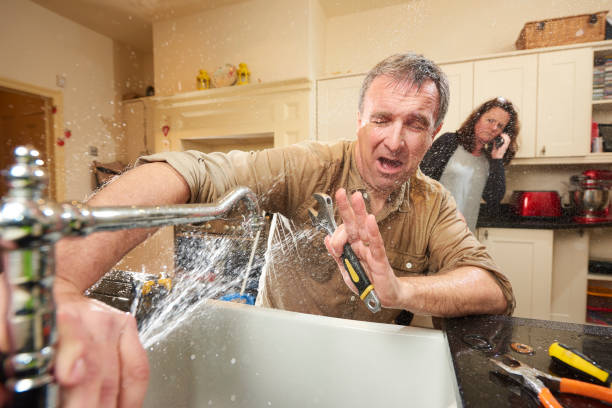Best Water damage mitigation services  in Glandorf, OH